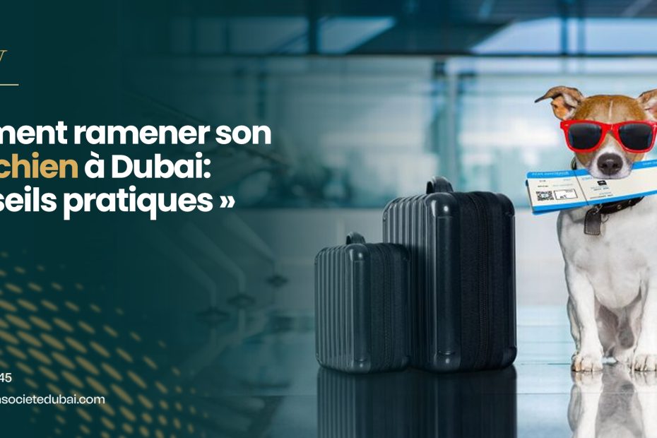 Comment ramener son chat/chien à Dubai