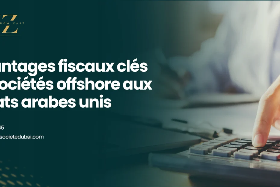 9 avantages fiscaux clés des sociétés offshore aux Émirats arabes unis Option #02